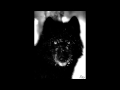 War Hound : Demons 
