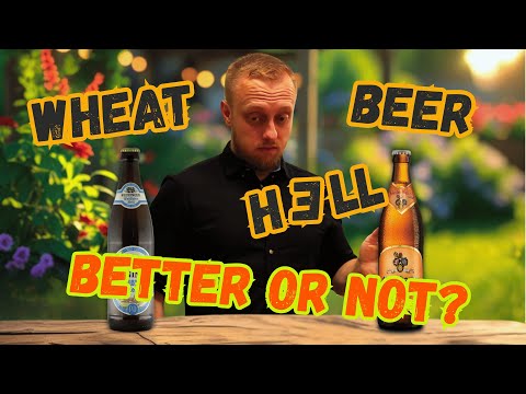 Two German Beers Face Off! 🍺 Wieninger vs Aldersbacher – Who Wins? 🇩🇪