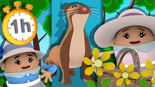 Il Court il Court le Furet + 35 autres Comptines