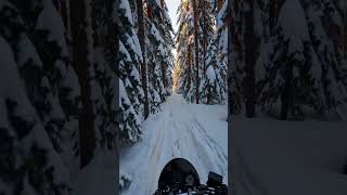 Riding through a winter wonderland, where the spirit of Christmas meets the open road🎄#ChristmasRide