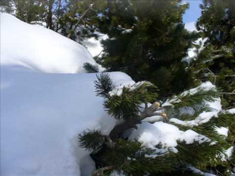 Tomáš Bezdeda - Thank God It´s Christmas