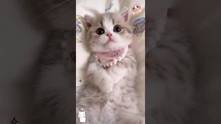 Little angels 🍓😻💖