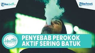 Penyebab Perokok Aktif Kerap Keluhkan Batuk hingga Dapat Merusak Tubuh, Begini Cara Mengatasinya