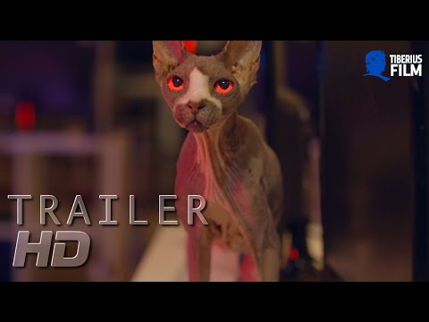 Friedhof am Ende der Welt / Offizieller Trailer / HD Deutsch