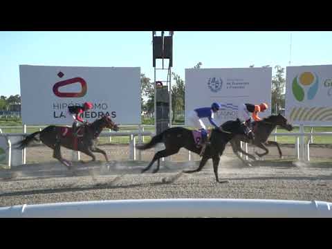 231013 c09 - TERRIBLE TINA - HIPODROMO LAS PIEDRAS