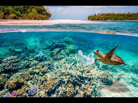 Icona Pop x SOFI TUKKER - Spa