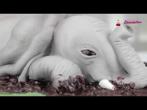 Elephant Cake Preview