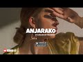 Anjarako Afrobeat X Gasygasy Instrumentale Type Beat 2024