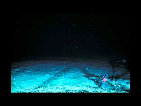 Olsein feat Sofia Lecubarri Lullaby Stranger (Radio Mix)