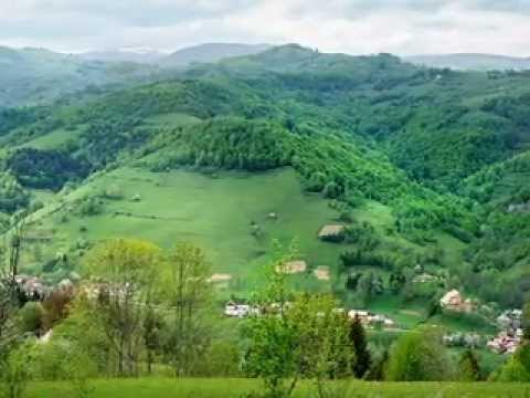 Pensiunea Craiul - Prezentare generala