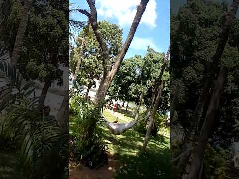 a cidade de lagoa da prata minas gerais a capital da alegria
