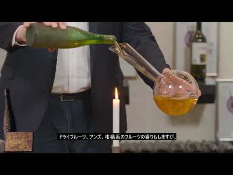 シヴィ・ピノ1991