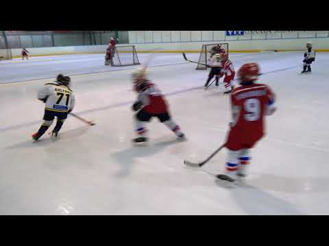 EVU - BJR09 Yellow 10.12.2017