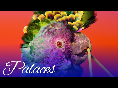 Flume - Palaces ft. Damon Albarn (Visualiser)
