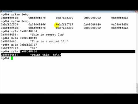 Format String Vulnerabilities Primer (Part 2 Understanding Format Functions)