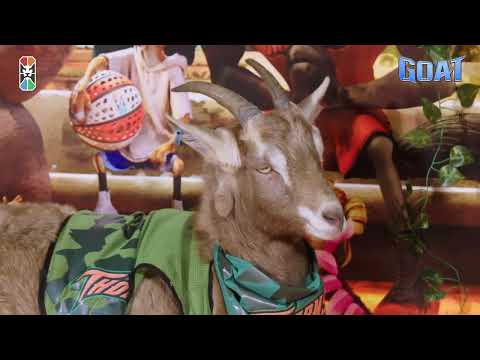 In Cinemas February 11