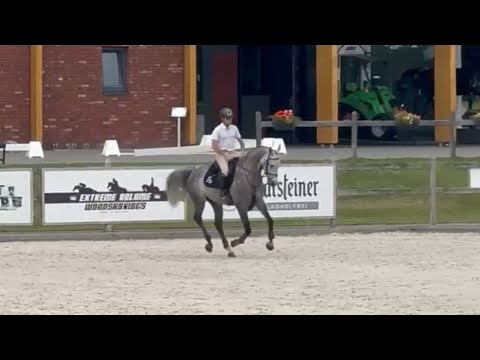 Copain de Minka Z - Show