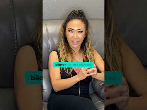 Exosomes Vs Stem Cells: What’s the Difference?