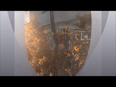 Four Seasons Synthesized - Spring Part 3