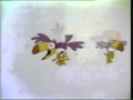 Sesame Street 2 Step HQ