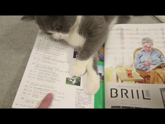 一緒に本を見ようとするとこうなります