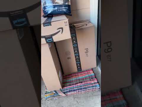 #AMAZONWAG #WAGDOGFOOD #DOGFOOD #DOG #FOOD #REVIEW (BEST DOG FOOD FOR YOUR MONEY) #PITBULL #PUPPY