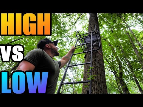 Tree Stand Height For Deer Hunting (Does It Really Matter?)