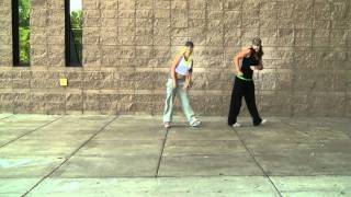 &#39;Pause&#39; Pitbull-- hip hop