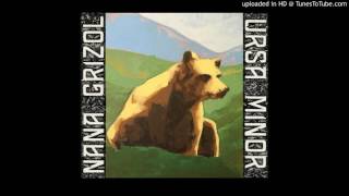 Nana Grizol - Photos From When We Were Young