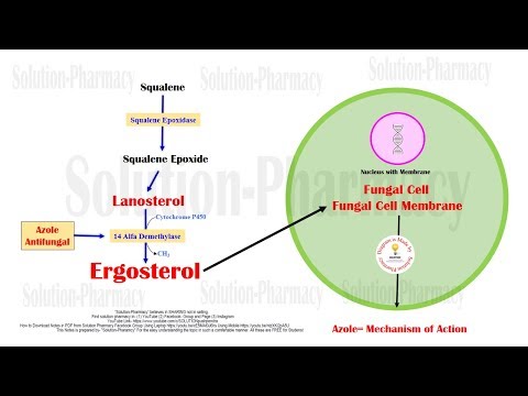 Azole | Imidazole and Triazole Mechanism of Action | Antifungal Medicines | Azole Antifungal Drugs