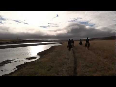 Riding along Víðidalsá with the herd