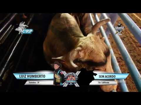 Ibirarema Rodeio Fest 2016 - MELHOR TOURO