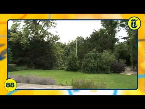 Nieuwsflits 21 Juni 2011 - '85.000 schadevergoeding om Big Mac'