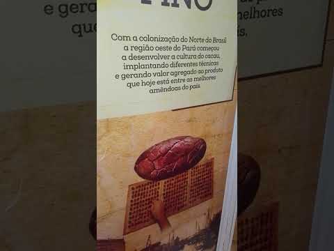 #ilheusbahia #historia #cacau -incas,, Mais,Astecas 1.750 A C- Festival do cacau e o chocolate 🇧🇷