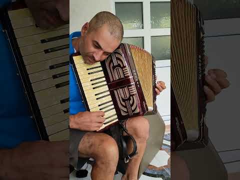Super Acordeon Hohner Tango 2 B cu 80 basi