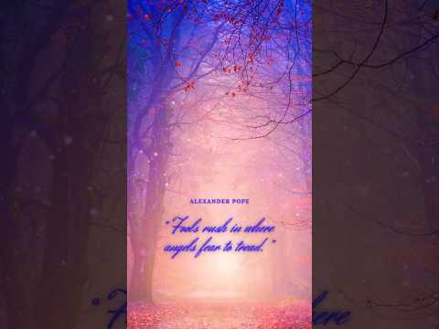 “Fools rush in, where angels fear to tread.” by Alexander Pope