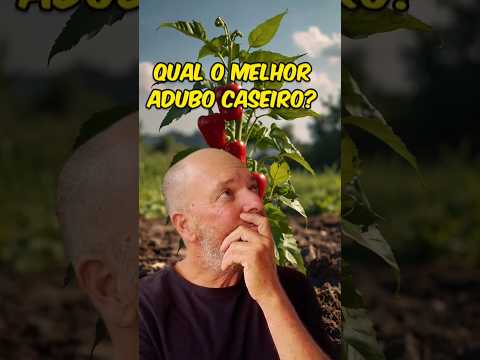 O Melhor Adubo Caseiro
