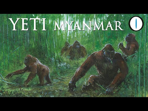 The YETI of MYANMAR