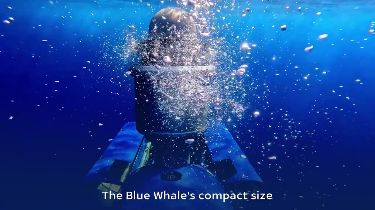 Watch BlueWhale in Action 