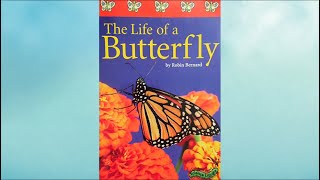 HD - The Life of a Butterfly by Robin Bernard 🦋