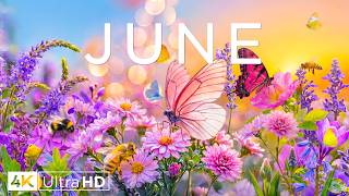 Spring Awakening 4K 🌿 Serene June 2026 🌸 Gentle Whisper Of Petals, Blooming Gardens & Piano Music