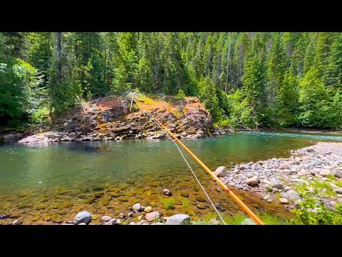The most INCREDIBLE small stream on the planet (fly fishing for trout)