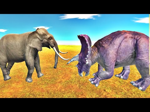 ELEPHANT vs TRICERATOPS | dinosaurs fighting | animal revolt battle simulator