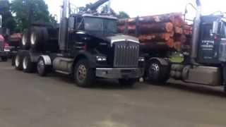 preview picture of video 'Lumber Trucks Before Factory and After Processing of Trees; Weyerhaeuser'