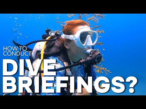 How to conduct Dive Briefings like a PRO! | DIVEWITHB