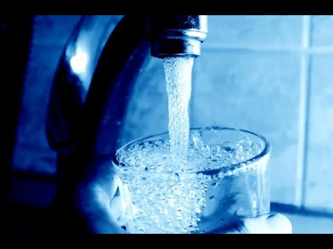 Житомирде алдын ала төлемсіз қыздар