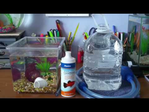 How To Do A Water-Change On A Small Betta Tank