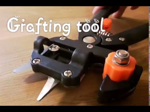 download lagu mp3 mp4 Plant Grafting Kit, download lagu Plant Grafting Kit gratis, unduh video klip Plant Grafting Kit