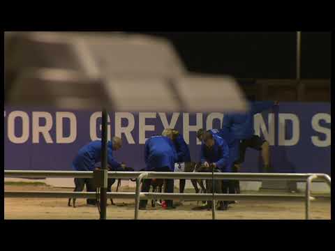 Droopys Carat - Coral Romford Puppy Cup - 2nd Semi Final