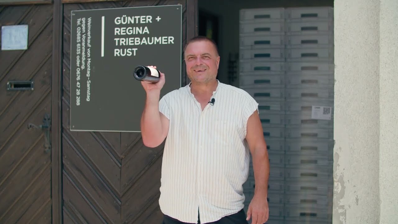 Günter Triebaumer - Teil 11